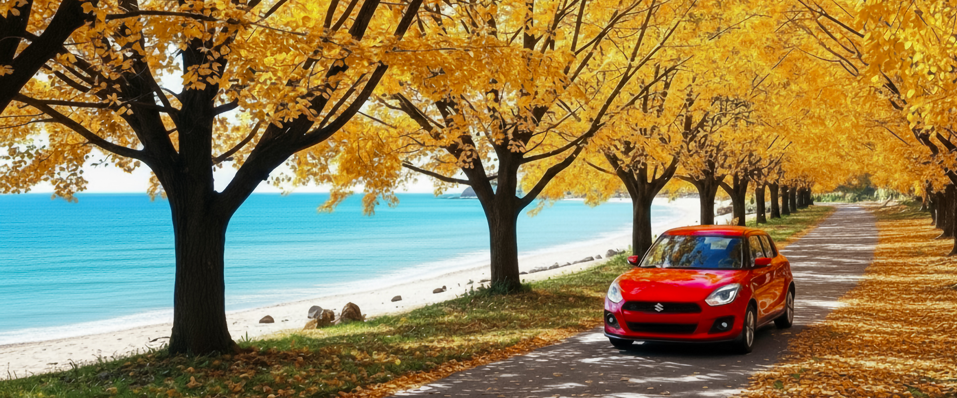 Figo Rent a Car
